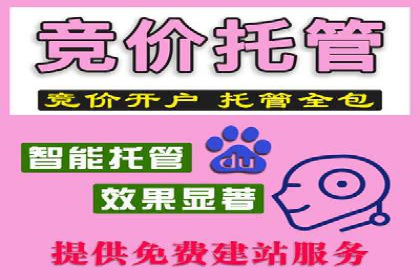 SEM网络推广案例：低成本高回报的营销策略
